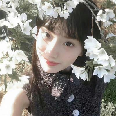 兄弟情仇